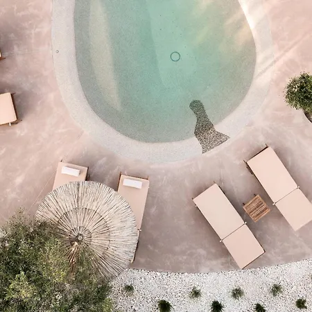 Nono's Fioro Premium Houses, By Tk Premium * Gaitani