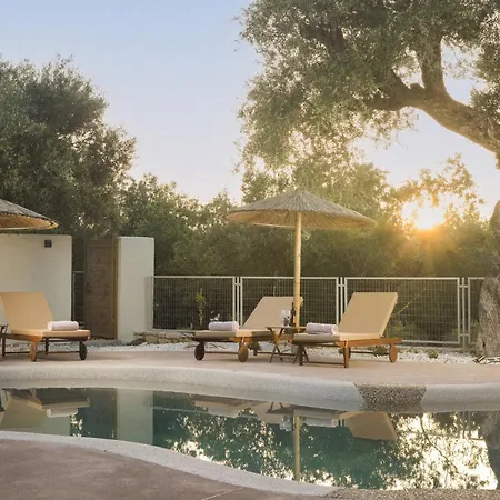 Nono's Fioro Premium Houses, By Tk Premium Villa